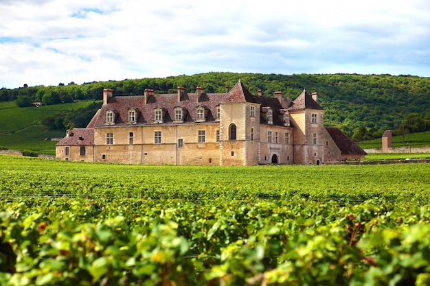 Francuski winnicę Chateau
