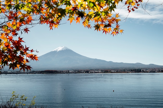 Bezpłatne zdjęcie fuji góra i liść w jesieni przy kawaguchiko jeziorem, japonia