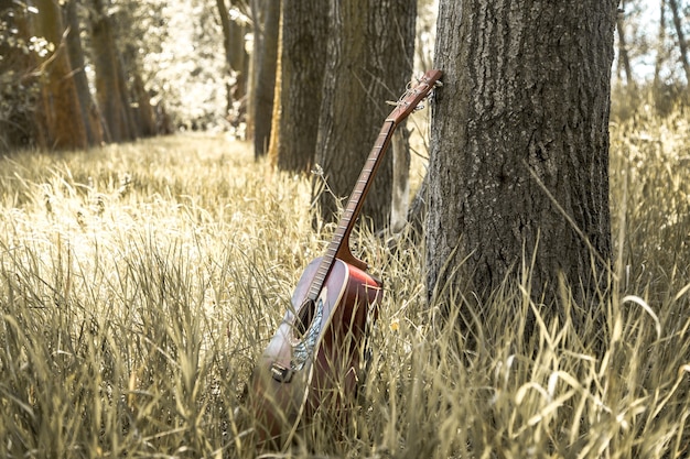 Bezpłatne zdjęcie gitara w naturze