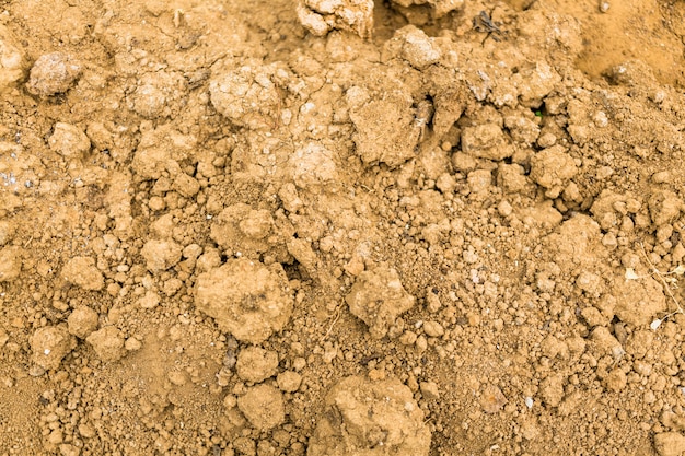 Bezpłatne zdjęcie gleba