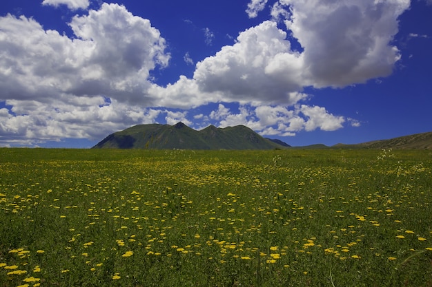 Bezpłatne zdjęcie góra ararat i jej widok