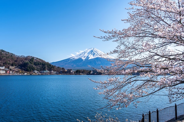 Góra Fuji i kwitnące wiśnie wiosną, Japonia.