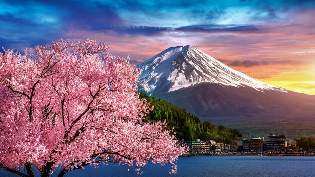 Góra Fuji i kwitnące wiśnie wiosną, Japonia.