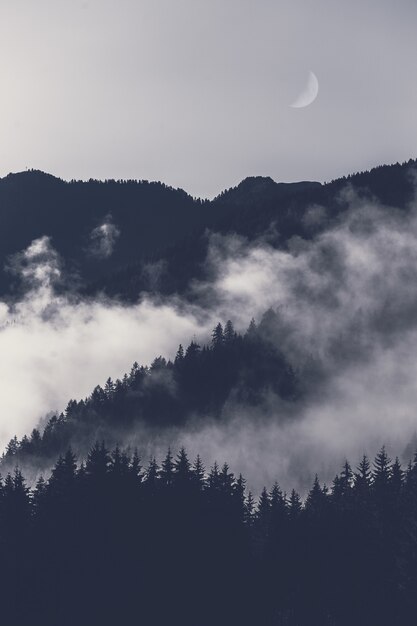 Góra Pokryta Mgłą