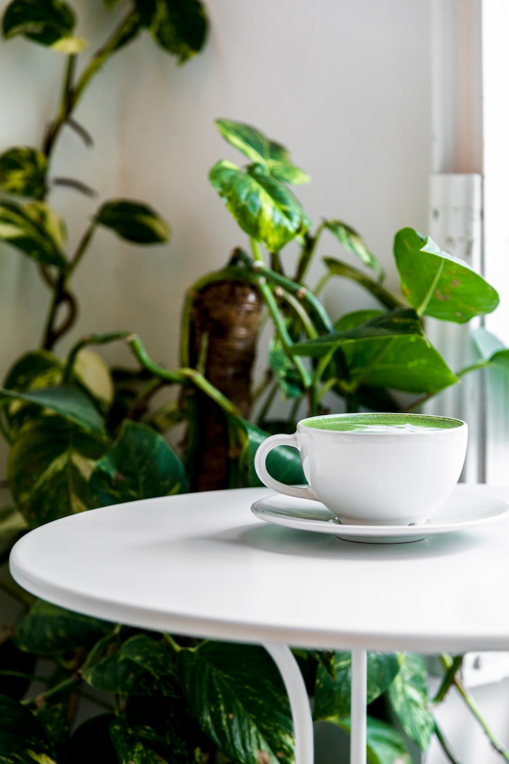 Bezpłatny plik Zdjęcie gorący zielonej herbaty matcha latte w filiżance na bielu stole