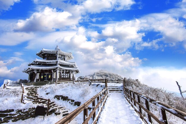 Góry Deogyusan zimą w Korei Południowej pokryte są śniegiem