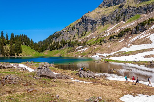 Góry i drzewa otoczone jeziorem Lac Lioson w Szwajcarii