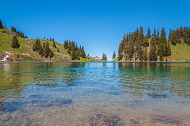 Góry i drzewa w Szwajcarii otoczone jeziorem Lac Lioson