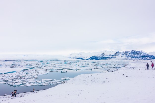 Góry lodowe w Zalewie Lodowcowym, Islandia.