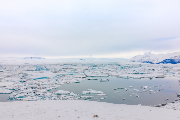 Bezpłatne zdjęcie góry lodowe w zalewie lodowcowym, islandia.