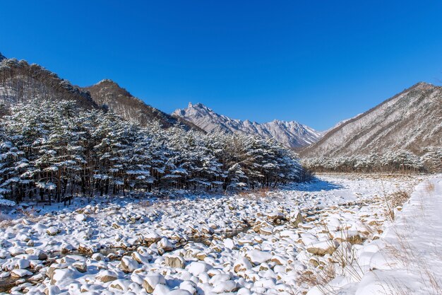 Góry Seoraksan zimą w Korei Południowej pokryte są śniegiem