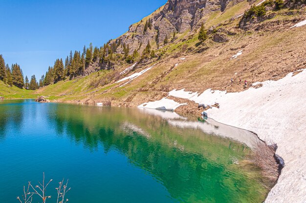 Góry, śnieg i drzewa w Szwajcarii otoczone jeziorem Lac Lioson