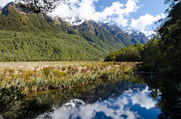 Góry ze śniegiem na szczycie w Milford Sound w Nowej Zelandii