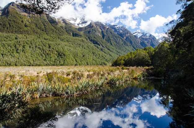 Góry ze śniegiem na szczycie w Milford Sound w Nowej Zelandii