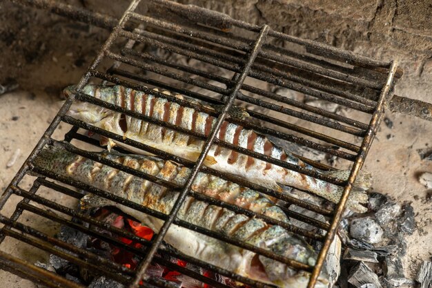 Gotowanie Ryb Bezpośrednio Nad Ogniem Premium Zdjęcia