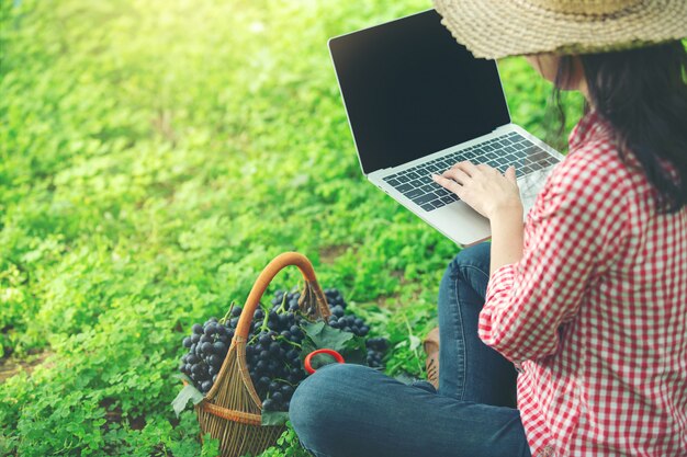 Graperzy chętnie sprzedają winogrona na rynku internetowym