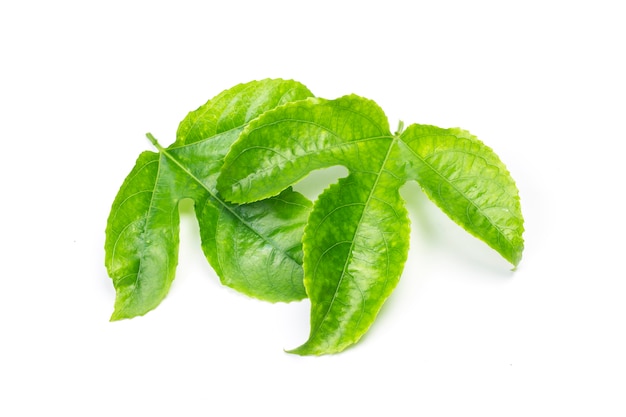 Green leaves pasja owoców bliska makro strzału zestaw samodzielnie na białym tle