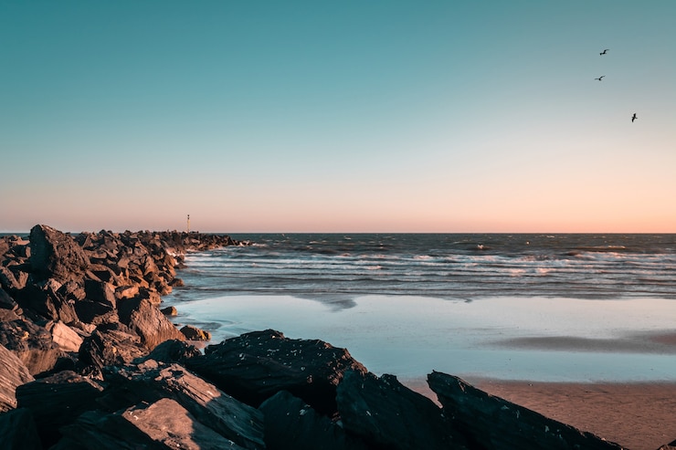 Bezpłatny plik Zdjęcie groyne z punta umbria