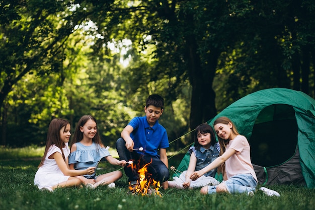 Grupa dzieci w lesie przy ognisku z mushmellows