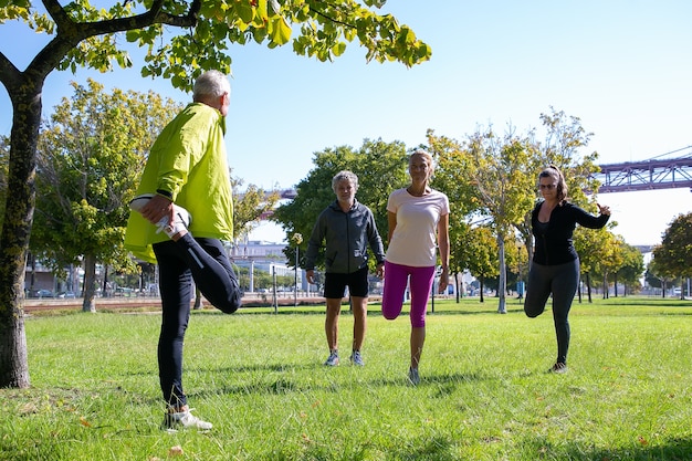 Grupa emerytów aktywnych dojrzałych ludzi noszących ubrania sportowe, robi poranne ćwiczenia na trawie w parku. Koncepcja emerytury lub aktywnego stylu życia