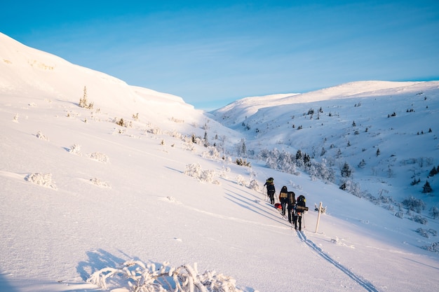 Grupa ludzi na nartach w górach pokrytych śniegiem w ciągu dnia