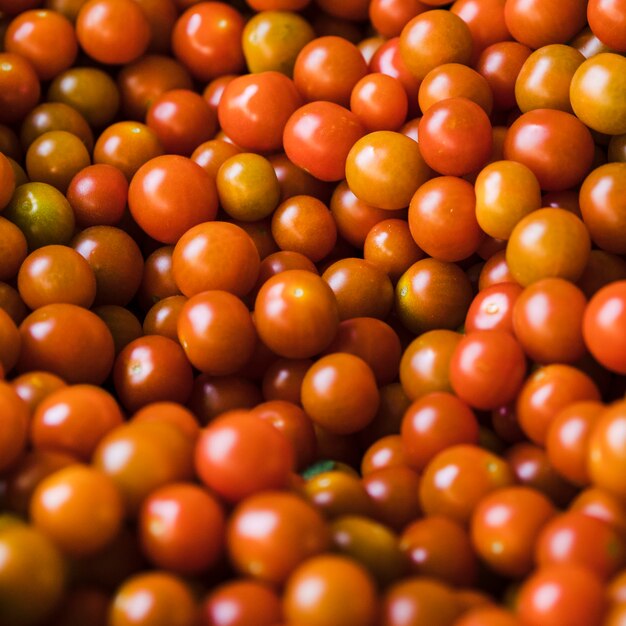 Grupa świeżych soczystych pomidorów cherry na sprzedaż