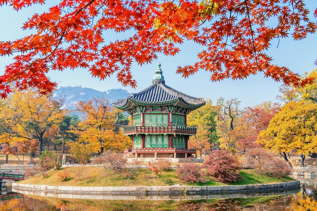 Gyeongbukgung i klon jesienią w Korei.