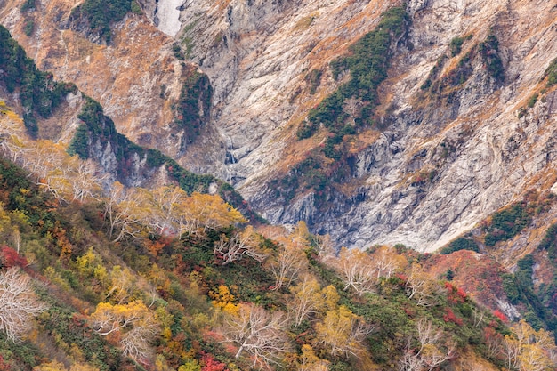 Hakuba valley autumn nagano japan