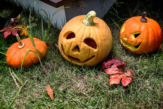 Bezpłatne zdjęcie halloweenowe banie i dekoracje w podwórku