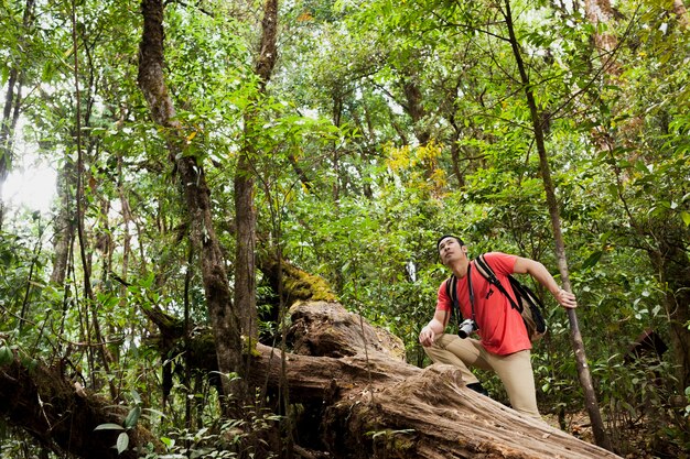 Hiker wspinaczka nad pnia drzewa