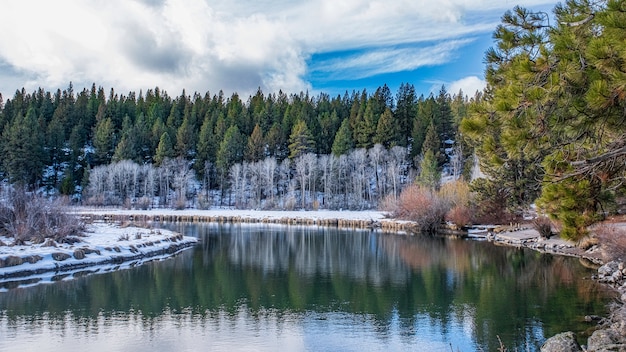 Hipnotyzujące ujęcie pięknego zaśnieżonego skalistego parku wokół jeziora