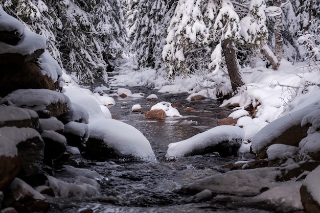 Hipnotyzujące ujęcie rzeki z pokrytymi śniegiem kamieniami i drzewami