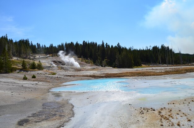 Hipnotyzujący widok na basen Norris Geyser Basin w Yellowstone, Wyoming