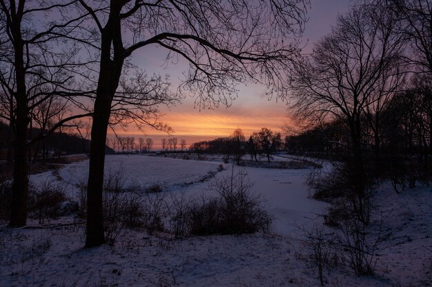 Hipnotyzujący zachód słońca w pobliżu historycznego zamku Doorwerth zimą w Holandii