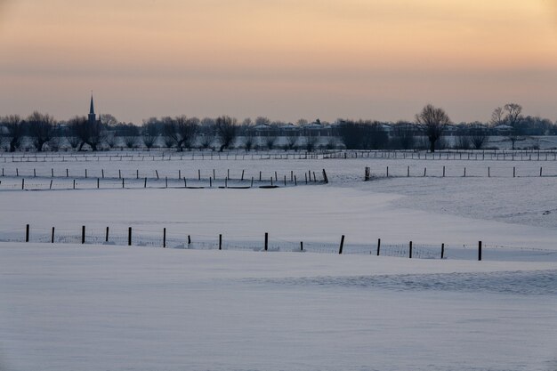 Hipnotyzujący zimowy krajobraz pokryty puszystym śniegiem w Holandii