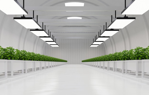Hydroponiczna fabryka roślin warzywnych w magazynie przestrzeni wystawienniczej