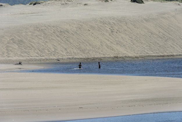 Idylliczna piaszczysta plaża z ludźmi pływającymi w wodzie