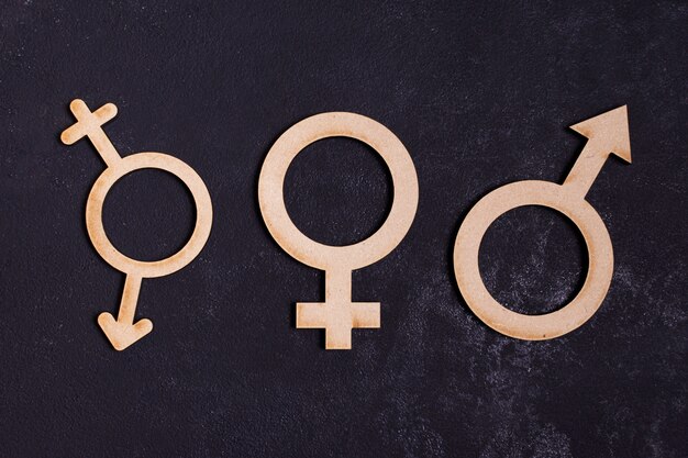 Ikona koncepcja równości płci