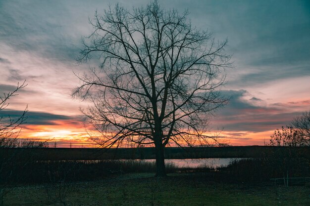 Inspirujący widok światła wschodzącego słońca