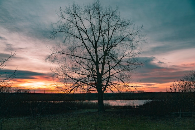 Inspirujący widok światła wschodzącego słońca