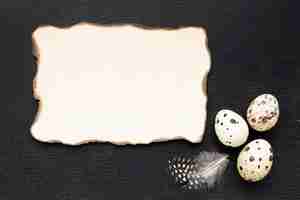 Bezpłatne zdjęcie jaja przepiórcze z widokiem z góry z kawałkiem papieru