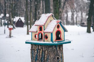 Jasny karmnik dla ptaków w zimowym lesie