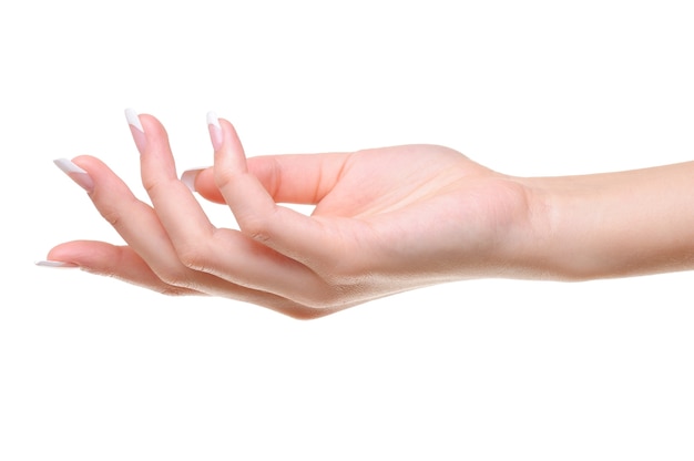 Jedna elegancka kobieca ręka z pięknem francuski manicure na białym tle