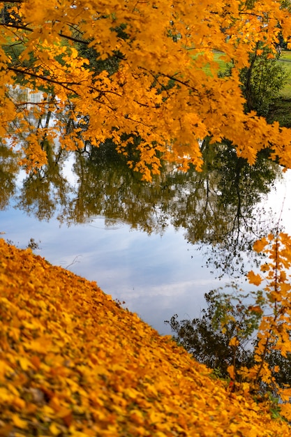 jesień park z jeziorem