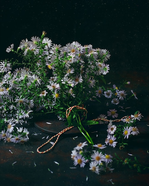 Jesienne rośliny Astry (Aster) w wazonie vintage. Ciemne zdjęcie