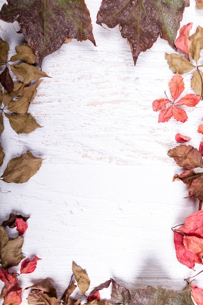 Bezpłatne zdjęcie jesienne tło z dostępnej przestrzeni kopii. czerwone kolorowe liście na białym drewnianym tle