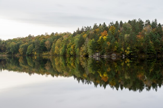 Jesienny krajobraz nad jeziorem, drzewa w jesiennych barwach.