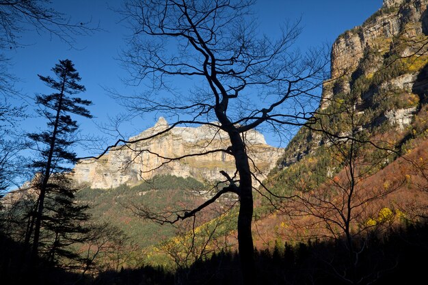 Jesienny krajobraz w Ordesa National Park, Pireneje, Huesca, Aragonia, Hiszpania