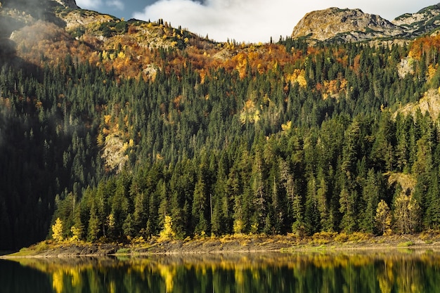 Bezpłatne zdjęcie jesienny park narodowy czarnego jeziora durmitor zabljak czarnogóra