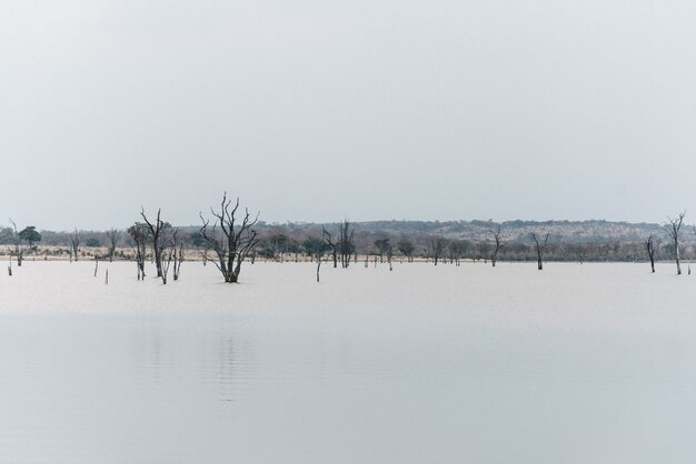 Jezioro Afrykańskie